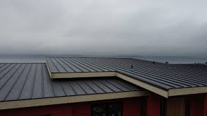 Best Rubber Roofing (EPDM, TPO)  in Gastonville, PA